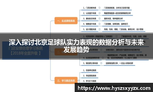 深入探讨北京足球队实力表现的数据分析与未来发展趋势